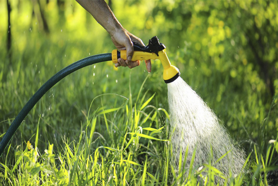 Время поливать: что нужно для полива огорода и сада?